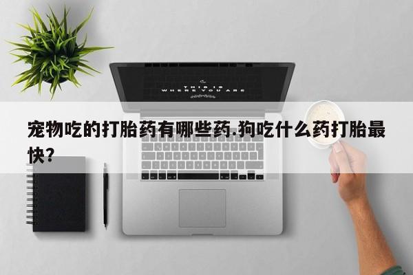 购买米非司酮片的联系方式宠物吃的打胎药有哪些药.狗吃什么药打胎最快？